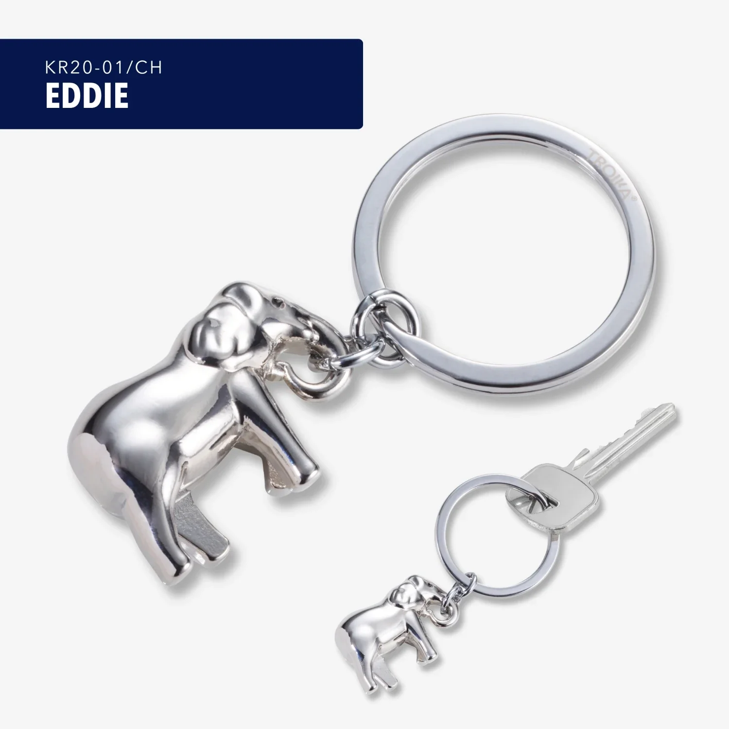 EDDIE - Image 4