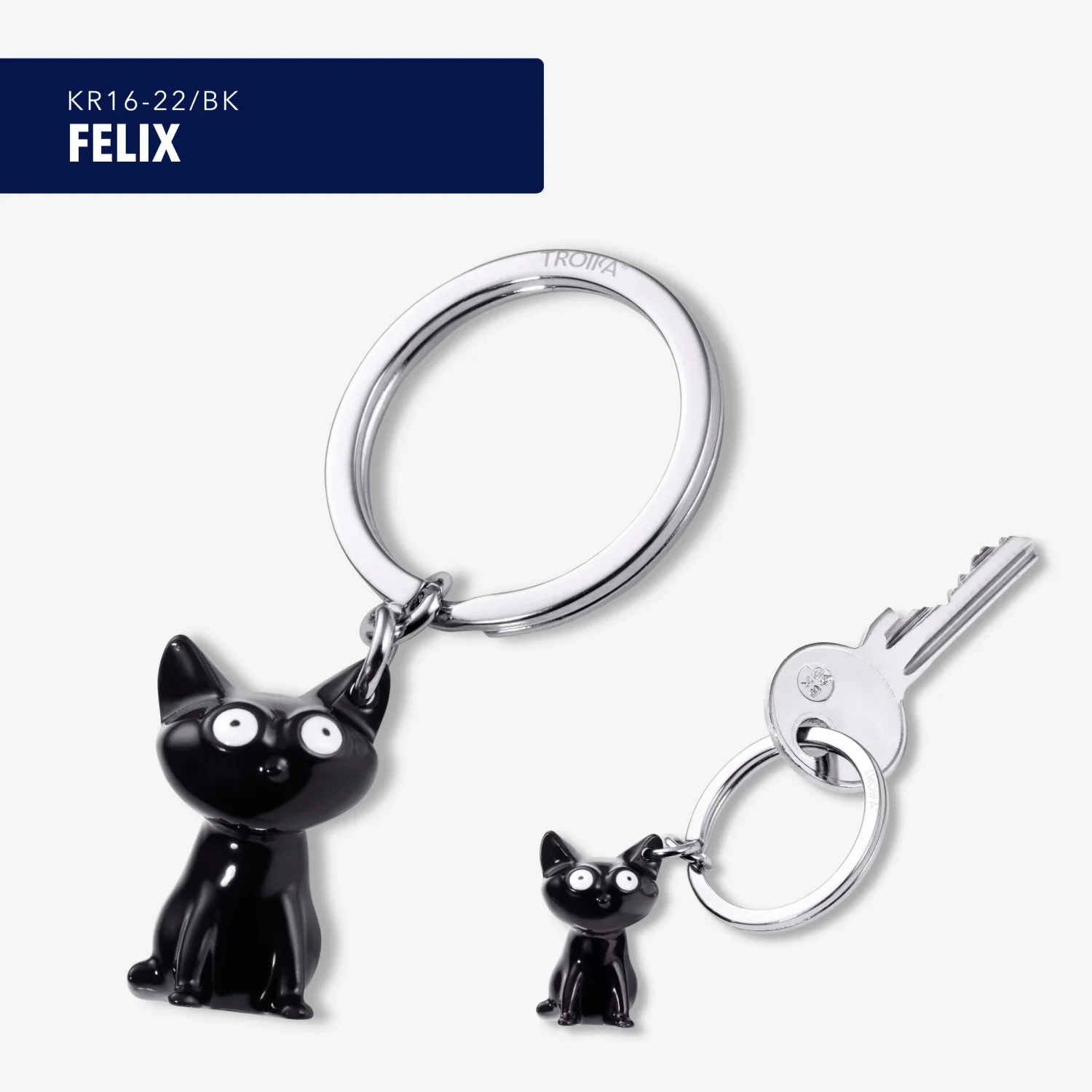 FELIX - Image 5