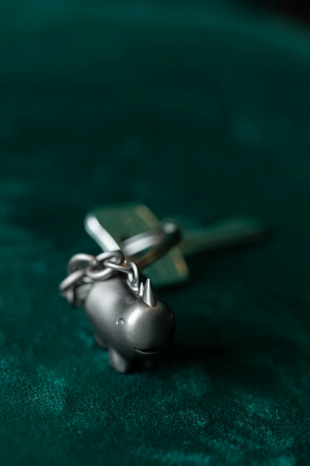 HAPPY RHINO - Image 5